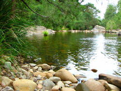 Riverwood Downs Mountain Valley Resort - Australia Accommodation 7