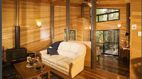 Springbrook Lyrebird Retreat - Australia Accommodation 1