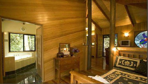 Springbrook Lyrebird Retreat - Australia Accommodation 2