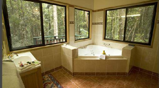 Springbrook QLD Australia Accommodation