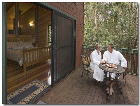Springbrook Lyrebird Retreat - Australia Accommodation 3