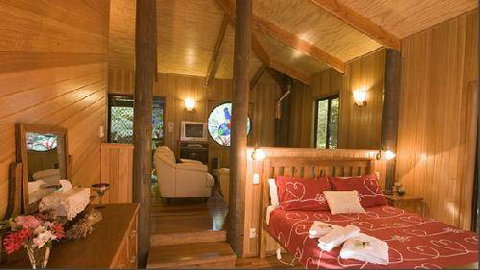 Springbrook Lyrebird Retreat - Australia Accommodation 4