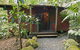 Springbrook Lyrebird Retreat - thumb 5