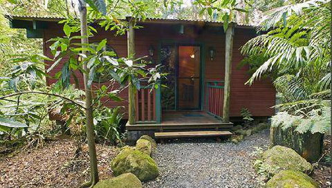 Springbrook Lyrebird Retreat - Australia Accommodation 5