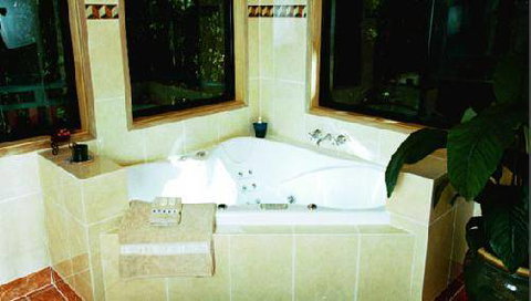 Springbrook Lyrebird Retreat - Australia Accommodation 6