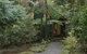 Springbrook Lyrebird Retreat - thumb 7