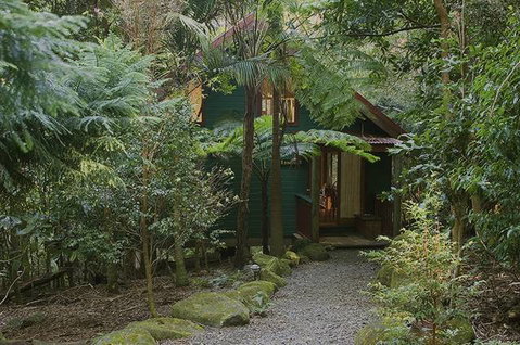 Springbrook Lyrebird Retreat - Australia Accommodation 7