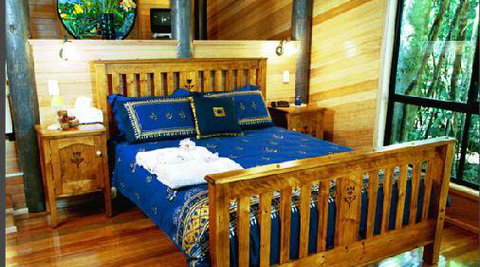 Springbrook Lyrebird Retreat - Australia Accommodation 8