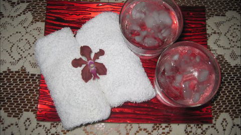 Bromeliad Bed And Breakfast - Australia Accommodation 6