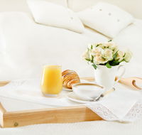 The Falls Retreat - Australia Accommodation
