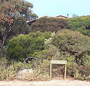 The Honeymyrtle Cottage - Australia Accommodation