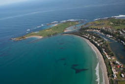 The Victoria Apartments - Australia Accommodation 7