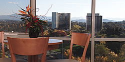 Waldorf Apartment Hotel Canberra - Australia Accommodation 5