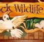 Wave Rock Hotel Motel - Australia Accommodation