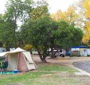 Wedderburn Pioneer Caravan Park - Australia Accommodation