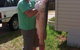 Weir Caravan Park Robinvale - thumb 1
