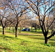 Wellington Caves Caravan Park - Australia Accommodation