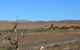 Windana Cottages - thumb 8