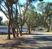 Wycheproof Caravan Park - Australia Accommodation