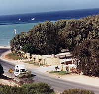 Denham Seaside Tourist Village - Australia Accommodation