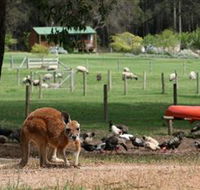 Diamond Forest Cottages and Farm Stay - Australia Accommodation
