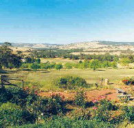 Pecan Hill Bed and Breakfast - Australia Accommodation