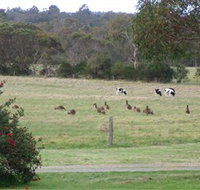 Woody Grange Chalets - Australia Accommodation