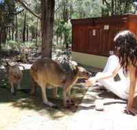 Yelverton Brook Eco Spa Retreat and Conservation Sanctuary - Australia Accommodation