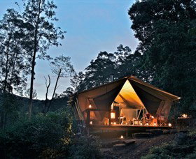 Lamington QLD Australia Accommodation