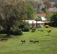 Acacia Park Farm House - Australia Accommodation