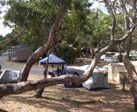 Bimbi Park Camping Under Koalas - Australia Accommodation 1
