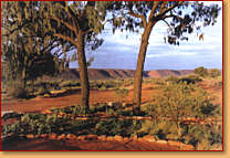 Kings Creek Station - Australia Accommodation 1