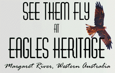 Eagles Heritage Raptor Wildlife Centre - Australia Accommodation 0
