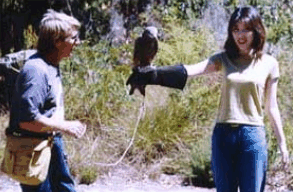Eagles Heritage Raptor Wildlife Centre - Australia Accommodation 2