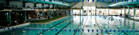 Belmont Oasis Aquatic Centre - Australia Accommodation 1