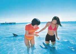 Book Cockburn Central WA Attractions Australia Accommodation Australia Accommodation