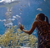 The Aquarium Of Western Australia - Australia Accommodation 0
