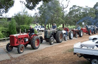 Hugh Manning Tractor  Machinery Museum - Australia Accommodation