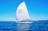 Manly Harbour Village - Australia Accommodation