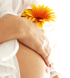 Glow Retreat - Australia Accommodation 1