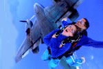 Simply Skydive - Australia Accommodation 2
