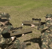 Logan Laser Skirmish - Australia Accommodation