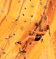 Rocksports Indoor Climbing - Australia Accommodation