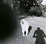 Fehily Contemporary - Australia Accommodation 2