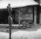 The Baldessin Press - Australia Accommodation