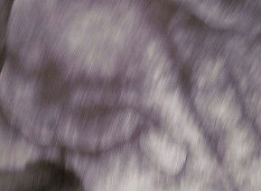 69 Smith Street - Australia Accommodation 1