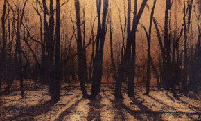 69 Smith Street - Australia Accommodation 2