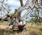 Colour Factory Gallery - Australia Accommodation 3