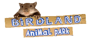 Birdland Animal Park - Australia Accommodation 0