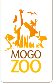 Mogo Zoo - Australia Accommodation